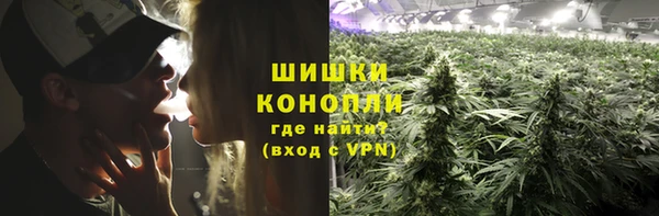 прущие грибы Балабаново