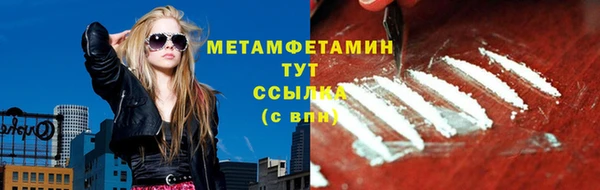 прущие грибы Балабаново