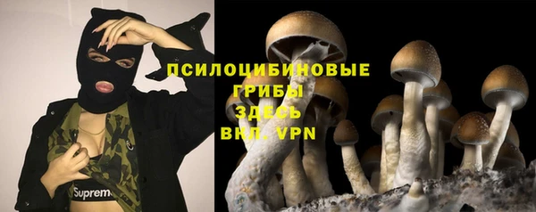 прущие грибы Балабаново