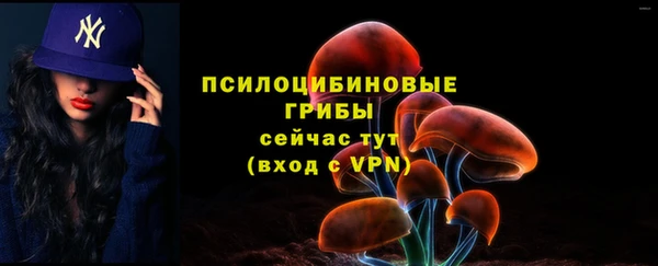 твердый Армянск